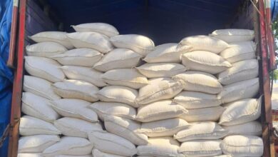 सीबीएन ने पकड़ा 2440 किलो अवैध डोडा चुरा सीबीएन ने पकड़ा 2440 किलो अवैध डोडा चुरा