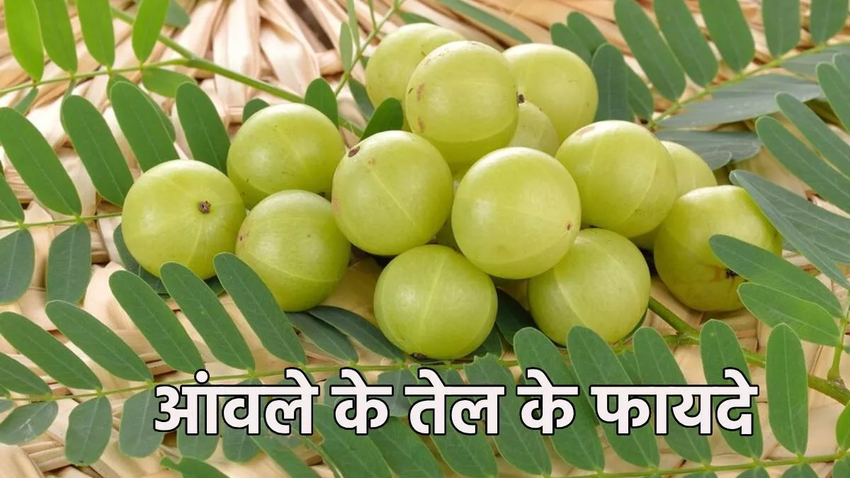 Hair Care: झड़ते बालों से लेकर चेहरे के दाग-धब्बे तक दूर करने में असरदार है आंवले का तेल, ऐसे बनाएं इसे