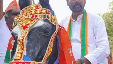 अपने आनोखे अंदाज़ में नजर आ रहे है जनसंपर्क के दौरान भाजपा प्रत्याशी माधव मारू, कहीं घोड़े पर तो कहीं बैलगाड़ी पर सवार होकर पहुँच रहे है जनता के बीच अपने आनोखे अंदाज़ में नजर आ रहे है जनसंपर्क के दौरान भाजपा प्रत्याशी माधव मारू, कहीं घोड़े पर तो कहीं बैलगाड़ी पर सवार होकर पहुँच रहे है जनता के बीच