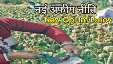 New Opium Policy नवीन अफीम नीति 2024-25 में सुधार को लेकर सांसद सुधीर गुप्ता ने वित्त मंत्री श्रीमती निर्मला सीतारमण से मुलाकात की, Good