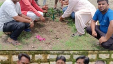 मोदी जी के मन की बात के 100 वे एपिसोड सुन किया वृक्षारोपण 