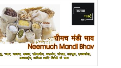 आज के नीमच मंडी भाव Neemuch Mandi Bhav Today, No 1 Best Mandi