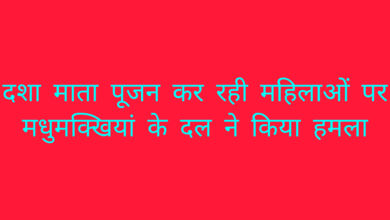 दशा माता की पूजा करने गई महिलाओं पर मधुमक्खियां के दल ने किया हमला 4 महिलाएं हुई घायल
