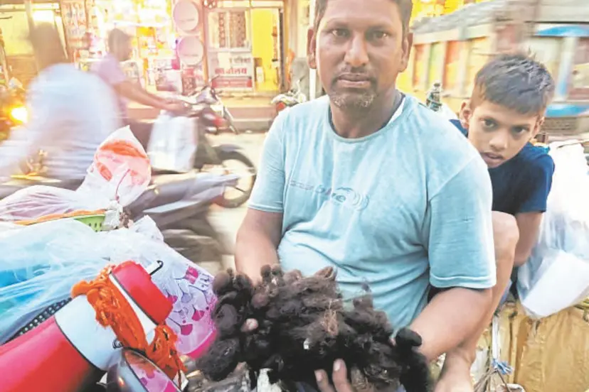 अब गांव-गांव घूम रहे रेशमी जुल्फों के कद्रदान: फेरी लगा कर खरीदे जा रहे बाल, भारत के बालों के कोलकाता और विदेशों में भी खरीदार