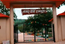 पर्यटकों को लुभा रहा नगर वन का आकर्षण:  नगर वन में कैंटीन सहित बच्चों के मनोरंजन को लेकर अनेकों सुविधाए