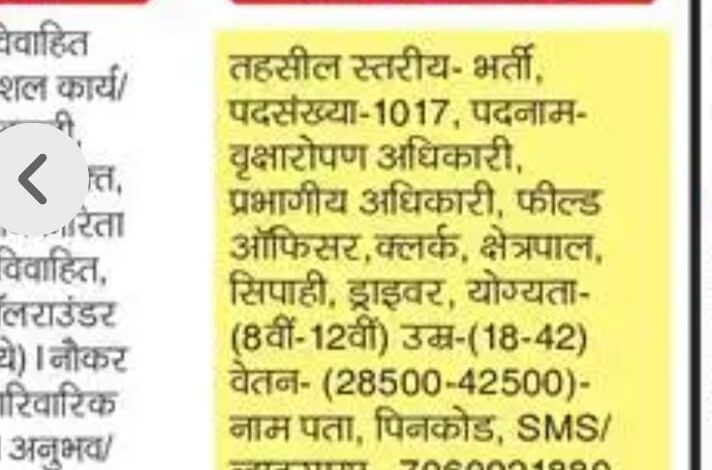 बेरोजगार युवा रहें सावधान: वन विभाग के नाम से निकाली जा रही है फर्जी भर्ती, युवा हो रहे हैं धोखाधड़ी का शिकार बेरोजगार युवा रहें सावधान: वन विभाग के नाम से निकाली जा रही है फर्जी भर्ती, युवा हो रहे हैं धोखाधड़ी का शिकार