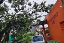 अरनोद: मंदिर के पास झुका बरगद का पुराना पेड़़ गिरने से हो सकता है हादसा