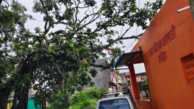 अरनोद: मंदिर के पास झुका बरगद का पुराना पेड़़ गिरने से हो सकता है हादसा