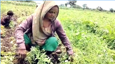 PM किसान सम्मान निधि से खिले किसानों के चेहरे, किसान बोले – “आज तक कोई प्रधानमंत्री मोदीजी जैसा नही आया जिन्होंने किसानों को ऐसा सम्मान दिया हो, उनकी पीड़ा को समझा हो