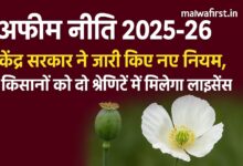 अफीम नीति 2025-26: केंद्र सरकार ने जारी किए नए नियम, किसानों को मिलेगा अफीम लाइसेंस, Good News