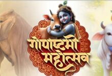 गौ माता को लगेगा, छप्पन भोग का प्रसाद।