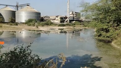 ज़ीरो लिक्विड डिस्चार्ज सिस्टम की बाते सिर्फ कागजों तक सीमित, जमुनिया कला में धानुका प्लांट से बढ़ता प्रदूषण, किसानों की फसल और कुएँ का पानी दूषित, ग्रामीणों का गंभीर आरोप ज़ीरो लिक्विड डिस्चार्ज सिस्टम की बाते सिर्फ कागजों तक सीमित, जमुनिया कला में धानुका प्लांट से बढ़ता प्रदूषण, किसानों की फसल और कुएँ का पानी दूषित, ग्रामीणों का गंभीर आरोप