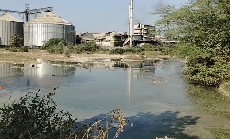 ज़ीरो लिक्विड डिस्चार्ज सिस्टम की बाते सिर्फ कागजों तक सीमित, जमुनिया कला में धानुका प्लांट से बढ़ता प्रदूषण, किसानों की फसल और कुएँ का पानी दूषित, ग्रामीणों का गंभीर आरोप ज़ीरो लिक्विड डिस्चार्ज सिस्टम की बाते सिर्फ कागजों तक सीमित, जमुनिया कला में धानुका प्लांट से बढ़ता प्रदूषण, किसानों की फसल और कुएँ का पानी दूषित, ग्रामीणों का गंभीर आरोप