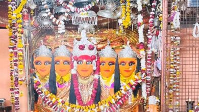 श्री दुधाखेडी माताजी मंदिर के दान पात्र की गणना का कार्य हुआ दो दिनों मे सम्पन्न श्री दुधाखेडी माताजी मंदिर के दान पात्र की गणना का कार्य हुआ दो दिनों मे सम्पन्न