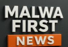 instazero: How to increase followers on Instagram with InstaZero. # 1 37 instazero: How to increase followers on Instagram with InstaZero. # 1