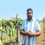 सफलता की कहानी                     पारंपरिक खेती से नवाचार की ओर बढ़े हरीश पाटीदार, आय में हुआ दोगुना इजाफा
