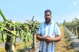 सफलता की कहानी पारंपरिक खेती से नवाचार की ओर बढ़े हरीश पाटीदार, आय में हुआ दोगुना इजाफा 15 सफलता की कहानी पारंपरिक खेती से नवाचार की ओर बढ़े हरीश पाटीदार, आय में हुआ दोगुना इजाफा