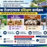 एसबीआई ग्रामीण स्वरोजगार प्रशिक्षण संस्थान में विभिन्न रोजगारपरक प्रशिक्षण कार्यक्रम होंगे आयोजित