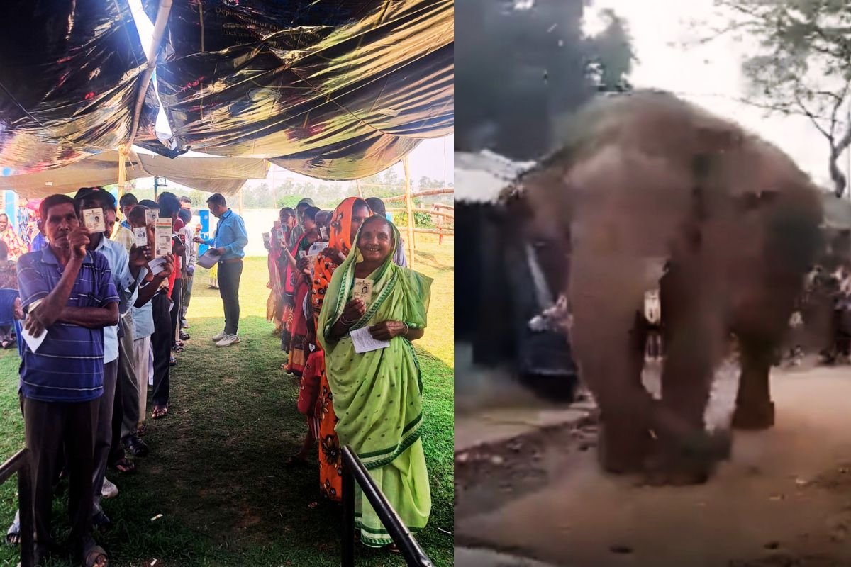 बंगाल चुनाव 2026: झारग्राम में बूथ पर आ धमका विशालकाय हाथी ‘रामलाल’, ईवीएम छोड़ गजराज को देखने लगे वोटर, देखें Video