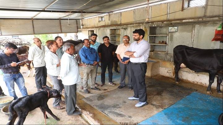पशुपालकों से संवाद कर कलेक्टर ने परखी डेयरी योजनाओं की प्रगति