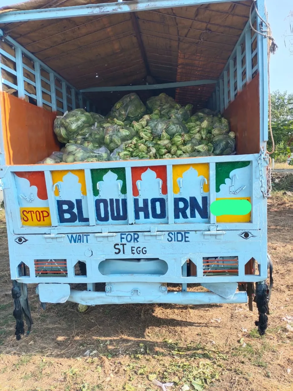 पत्तागोभी की आड़ में छीपाकर ले जाया जा रहा 6 क्विंटल डोडाचूरा के साथ आयशर वाहन जब्त , एक आरोपी गिरफ्तार..