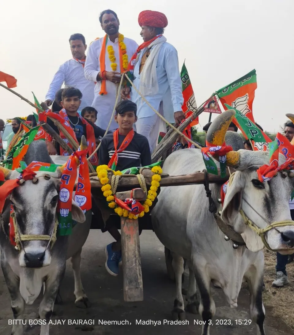 बैलगाड़ी और घोड़े पर सवार होकर भाजपा प्रत्याशी मारू का जनसंपर्क