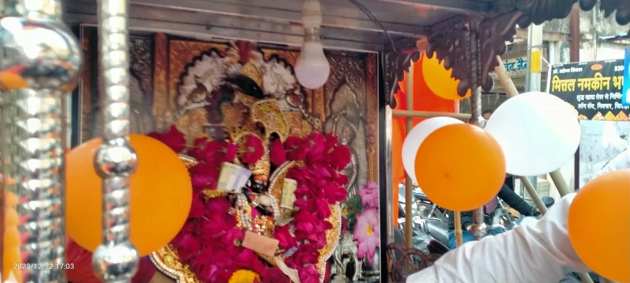 dark brown सांवरे श्याम की पालकी यात्रा में उमडे श्रद्धालु Good No1