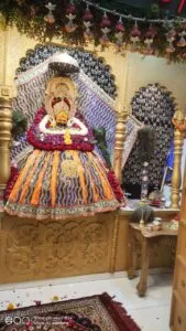 dark brown सांवरे श्याम की पालकी यात्रा में उमडे श्रद्धालु Good No1 1 dark brown सांवरे श्याम की पालकी यात्रा में उमडे श्रद्धालु Good No1