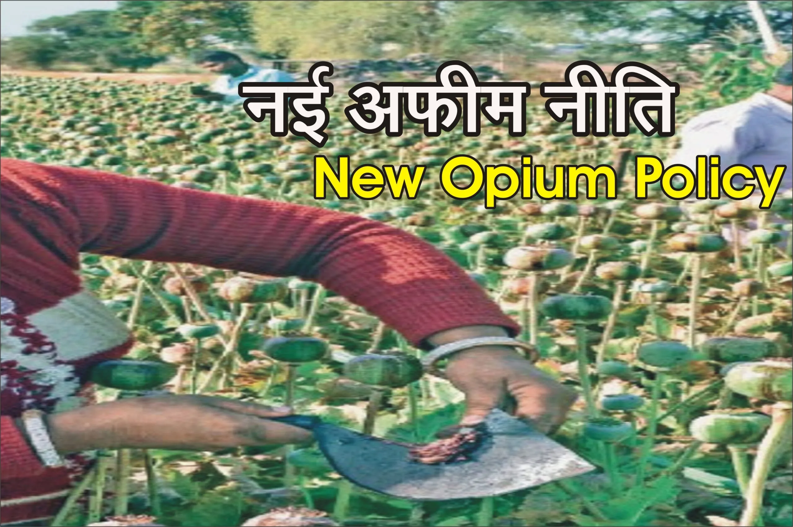 New Opium Policy नवीन अफीम नीति 2024-25 में सुधार को लेकर सांसद सुधीर गुप्ता ने वित्त मंत्री श्रीमती निर्मला सीतारमण से मुलाकात की, Good New Opium Policy नवीन अफीम नीति 2024-25 में सुधार को लेकर सांसद सुधीर गुप्ता ने वित्त मंत्री श्रीमती निर्मला सीतारमण से मुलाकात की, Good