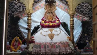 नीमच नरेश के दरबार में उतपन्ना एकादशी के अवसर पर हुए आयोजन