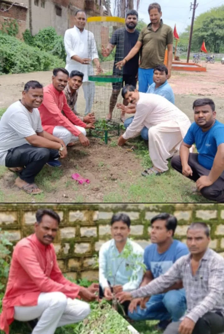 मोदी जी के मन की बात के 100 वे एपिसोड सुन किया वृक्षारोपण 