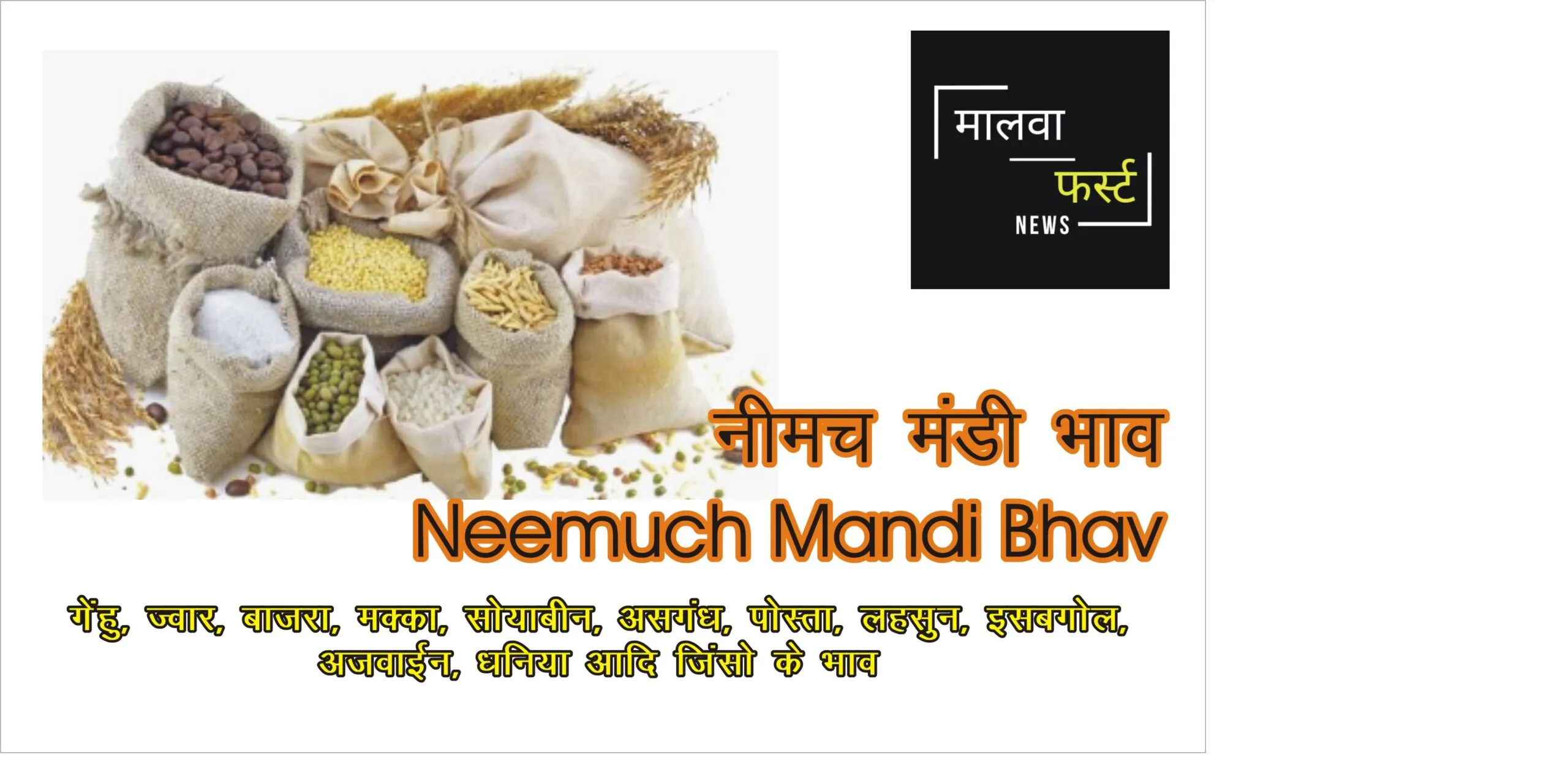 आज के नीमच मंडी भाव Neemuch Mandi Bhav Today, No 1 Best Mandi