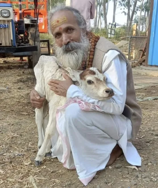 गो कल्याण एवं रक्षार्थ सुंदरकांड पाठ भादवामाता में 12 फरवरी को गो कल्याण एवं रक्षार्थ सुंदरकांड पाठ भादवामाता में 12 फरवरी को
