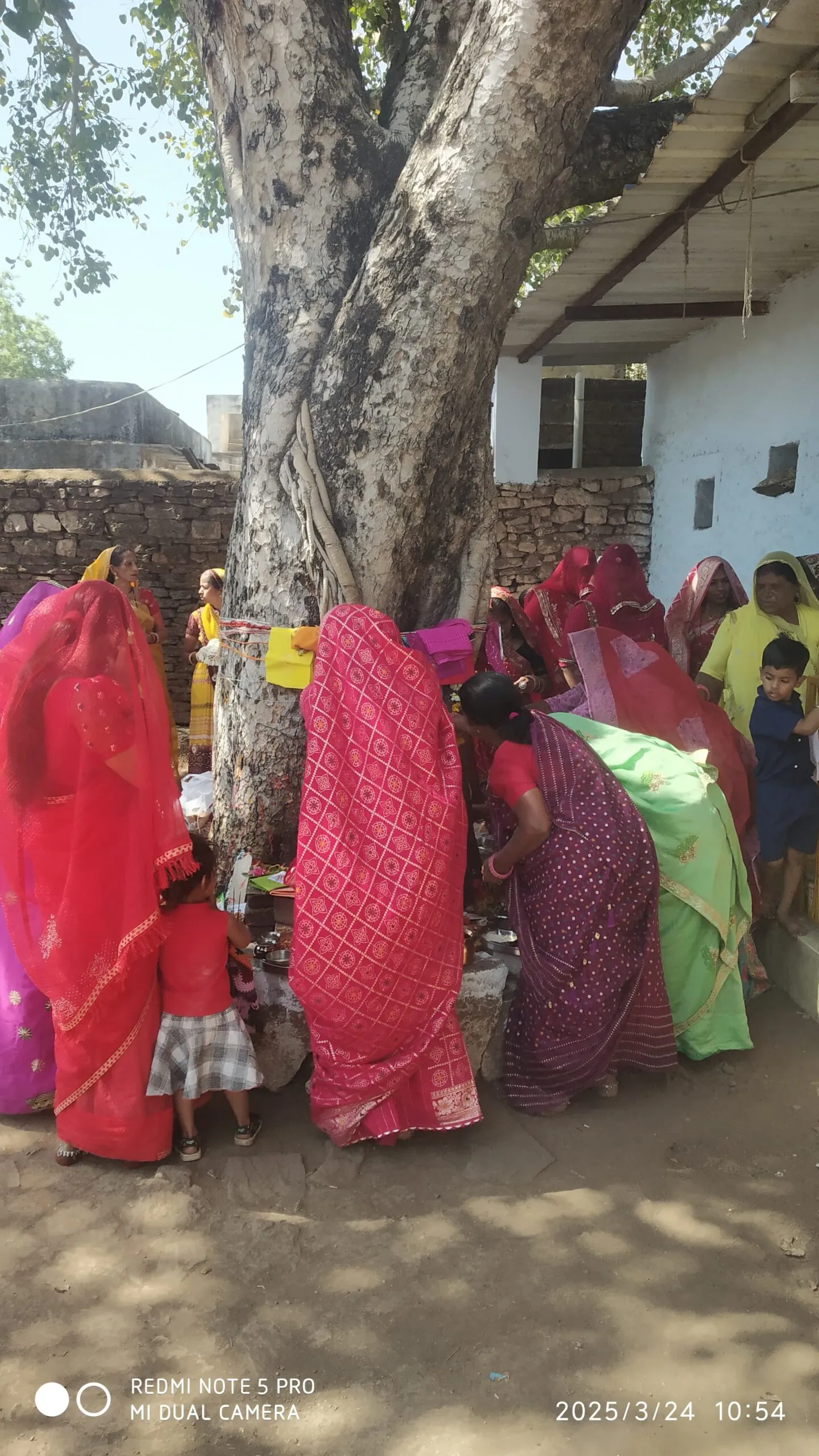 दशा माता पूजन में महिला श्रद्धालुओं ने की दशा माता की पूजा-अर्चना* दशा माता पूजन में महिला श्रद्धालुओं ने की दशा माता की पूजा-अर्चना*