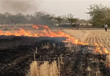 खेतों में नरवाई जलाने पर होगी वैधानिक कार्रवाई कलेक्टर हिमांशु चंद्र ने जारी किया आदेश खेतों में नरवाई जलाने पर होगी वैधानिक कार्रवाई कलेक्टर हिमांशु चंद्र ने जारी किया आदेश