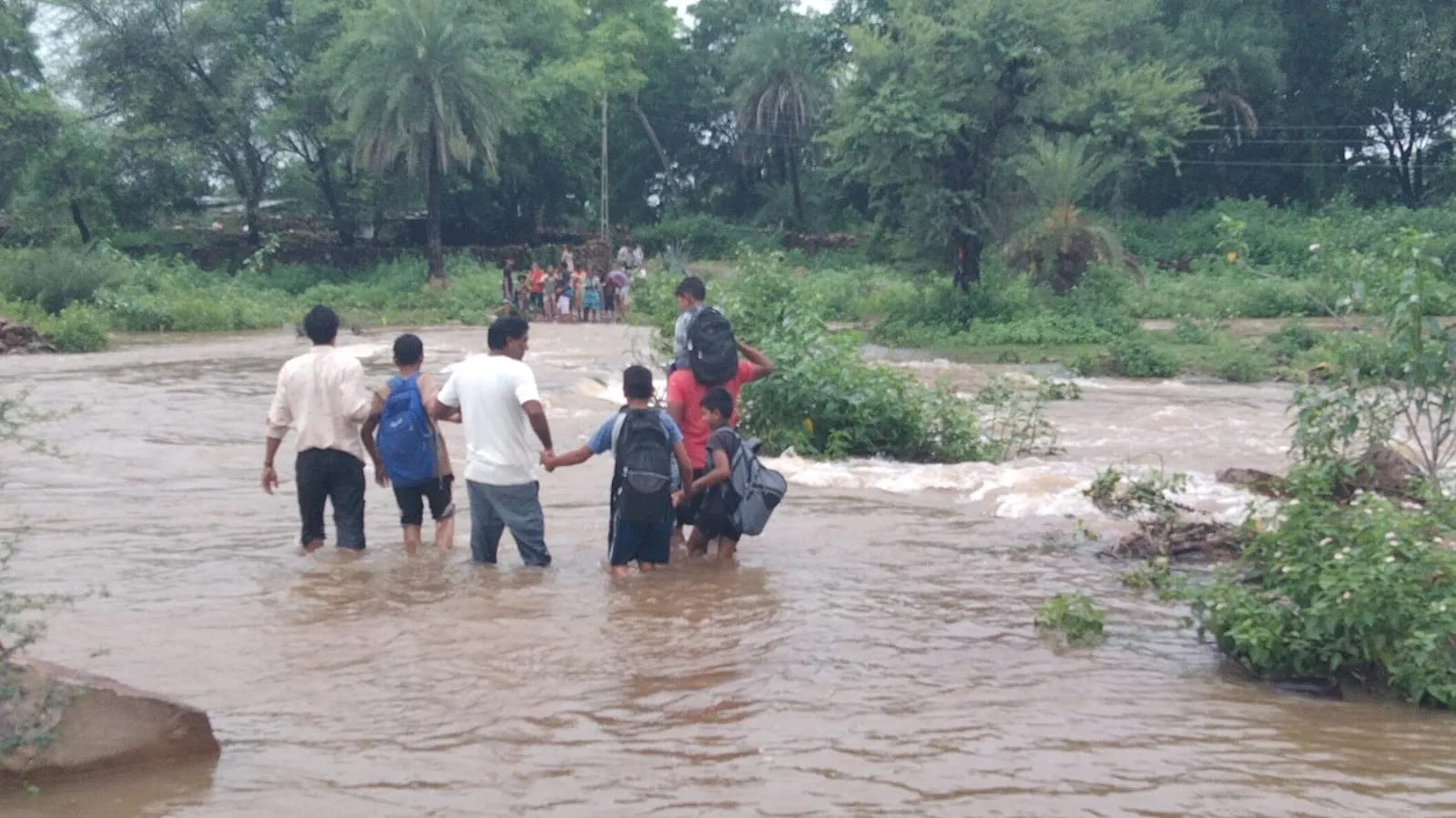 नीमच जिले के सिंगोली क्षेत्र में नदी नाले उफान पर, जान जोखिम में डाल उफनते नाले को पार कर स्कूल जा रहे बच्चे, तो कहीं फसलें हुई बर्बाद