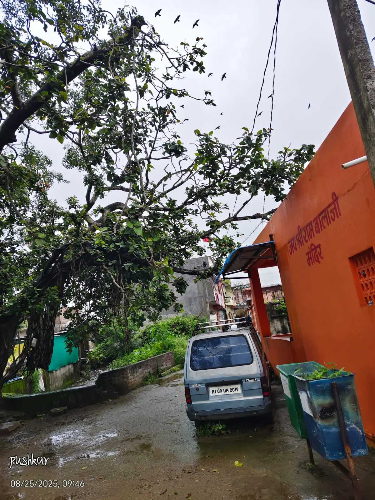 अरनोद: मंदिर के पास झुका बरगद का पुराना पेड़़ गिरने से हो सकता है हादसा