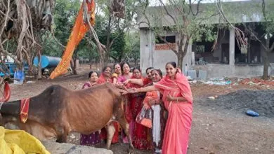 श्याम गोपाल भजन मंडल ने लेवड़ा गौशाला में मनाई गोपाष्टमी