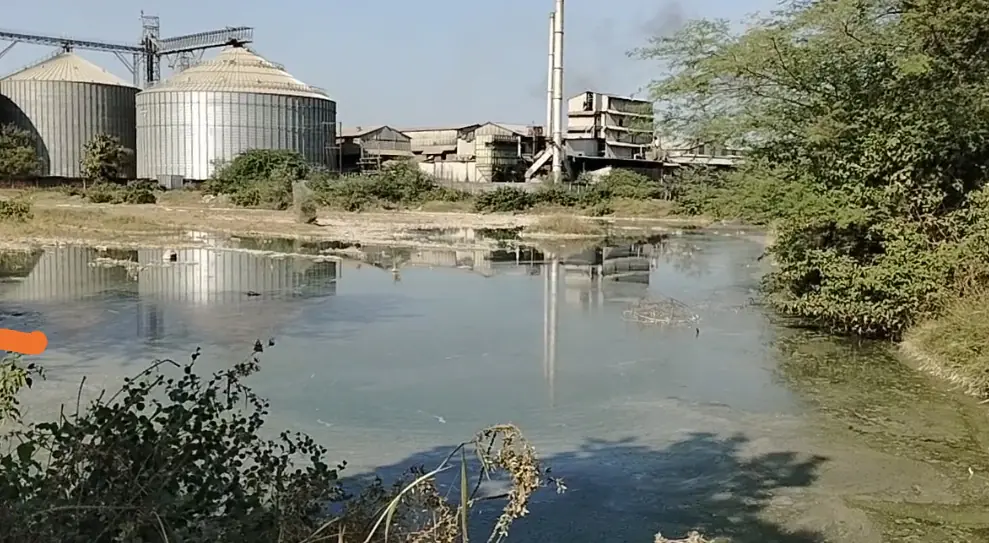 ज़ीरो लिक्विड डिस्चार्ज सिस्टम की बाते सिर्फ कागजों तक सीमित, जमुनिया कला में धानुका प्लांट से बढ़ता प्रदूषण, किसानों की फसल और कुएँ का पानी दूषित, ग्रामीणों का गंभीर आरोप