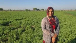 //सफलता की कहानी// नीमच जिले में 316 मां की बगिया का कार्य प्रारंभ स्‍वसहायता समूह से जुड़ी महिलाएं अपने खेतों में लगा रही है फलदार पौधो की बगियां