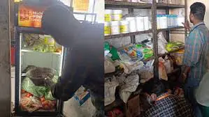 मनासा में खाद्य प्रतिष्ठानों का आकस्मिक निरीक्षण, 4 फर्मों से लिए गए 23 नमूने, कई पर नोटिस जारी,